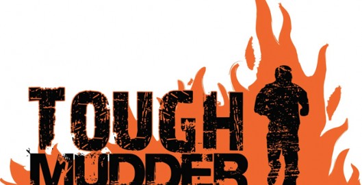 toughmudder-529x270.jpg