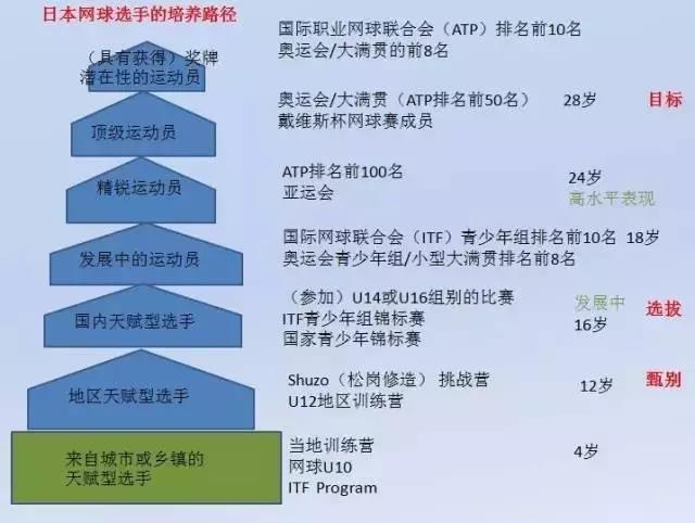 日本网球培养路径.jpg