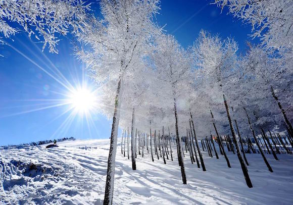 崇礼 体育旅游.jpg