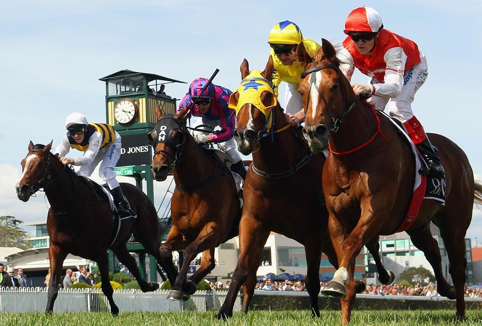 澳大利亚 赛马.jpg