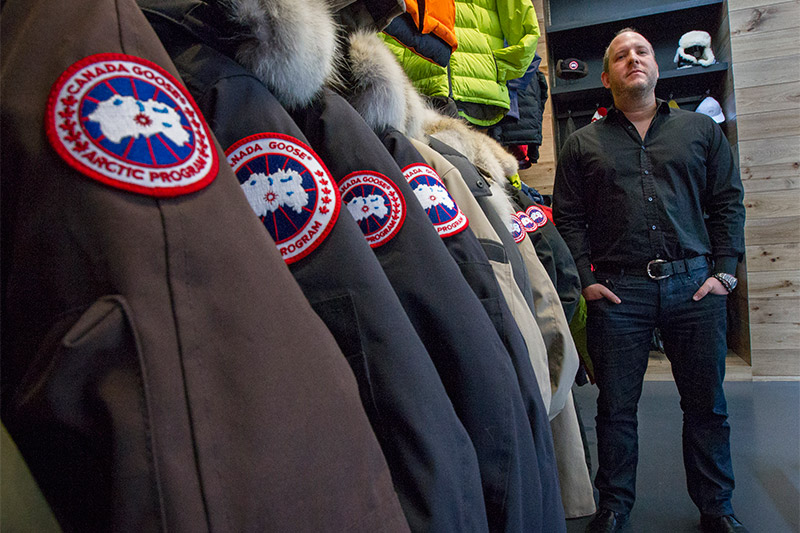 Canada goose Dani Reiss.jpg