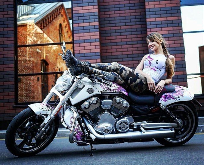 哈雷 年轻人.jpg