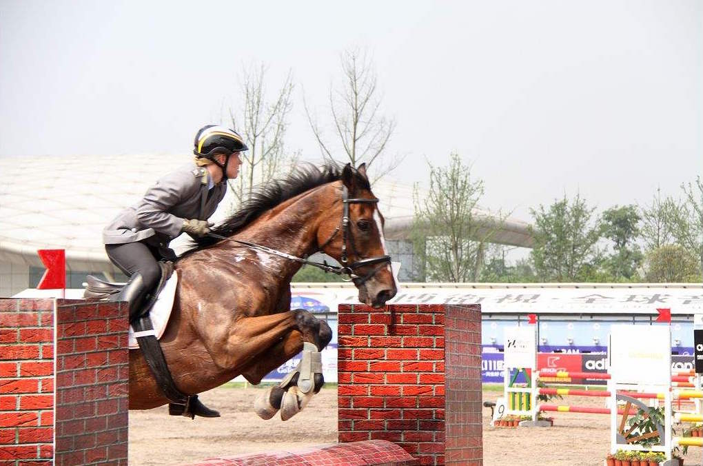 现代五项 马术.jpg