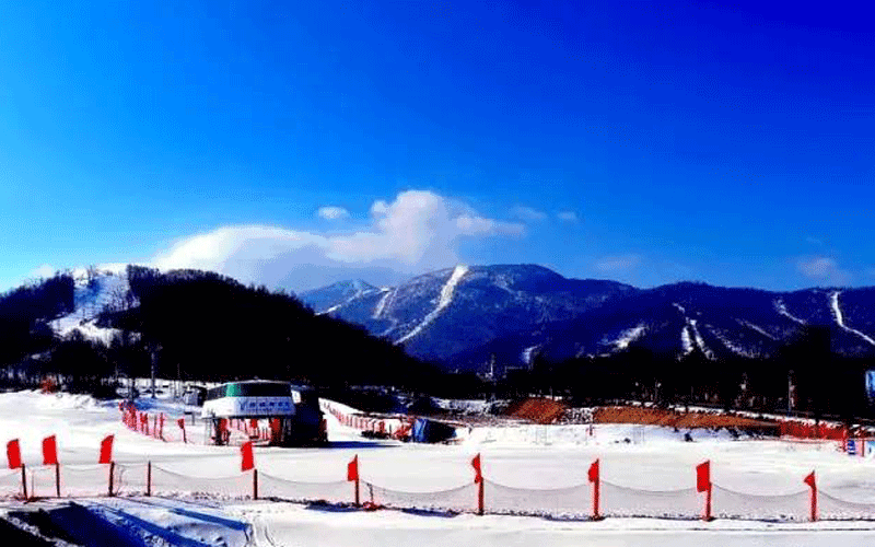 雪场.gif
