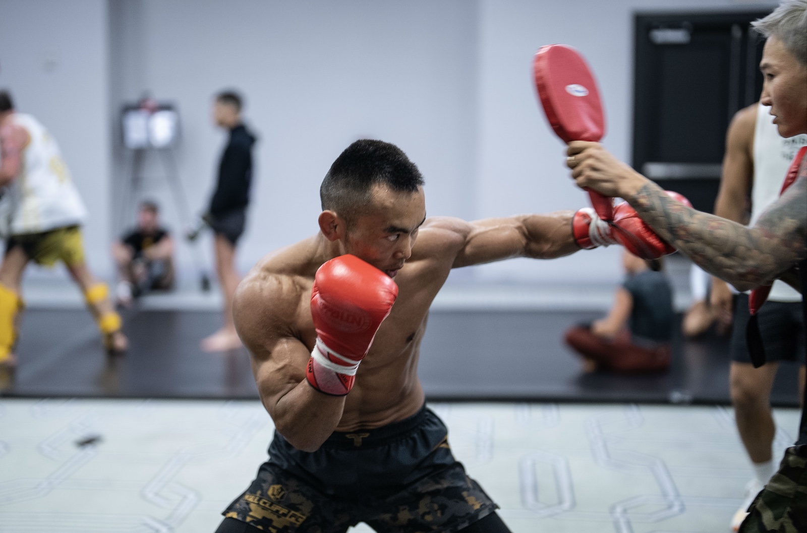 1689923711915827.jpg 1689923711915827.jpg