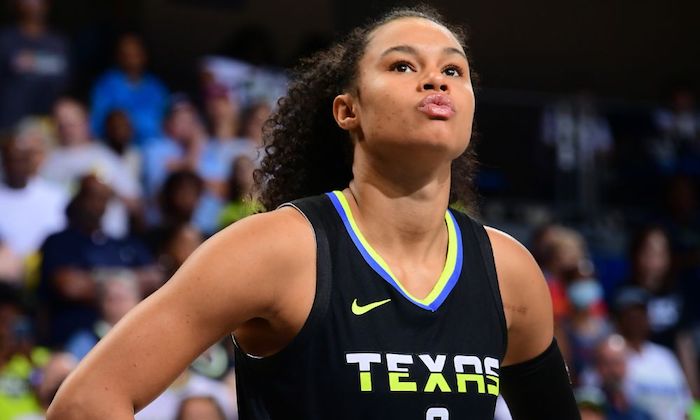 1691933223290670.jpg 达拉斯飞翼.jpg