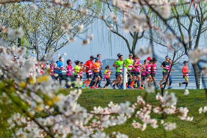 1694572592324215.jpg 马拉松.jpg