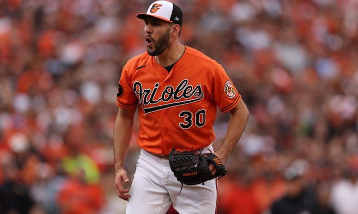 1702288940630228.jpg 巴尔的摩金莺.jpg