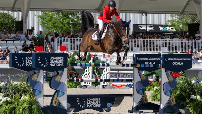 1715527074713428.jpg 马术.jpg