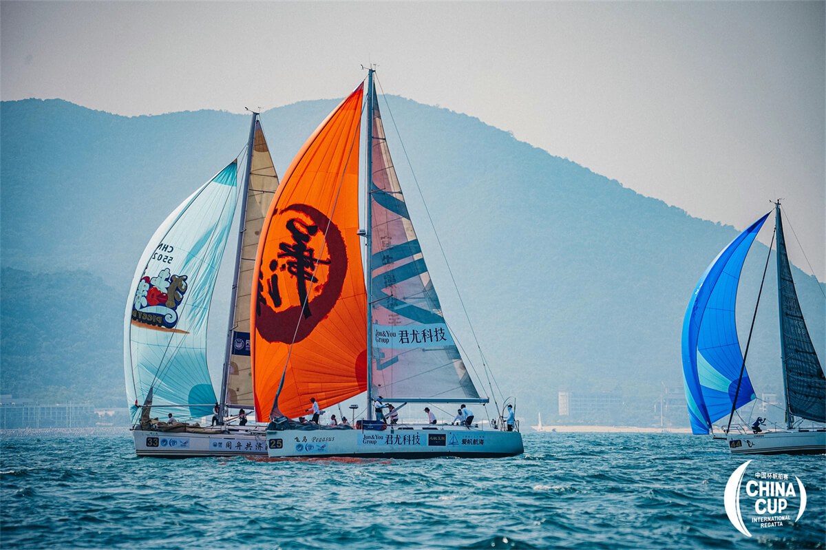 1731404864969325.jpeg 1731404864969325.jpeg