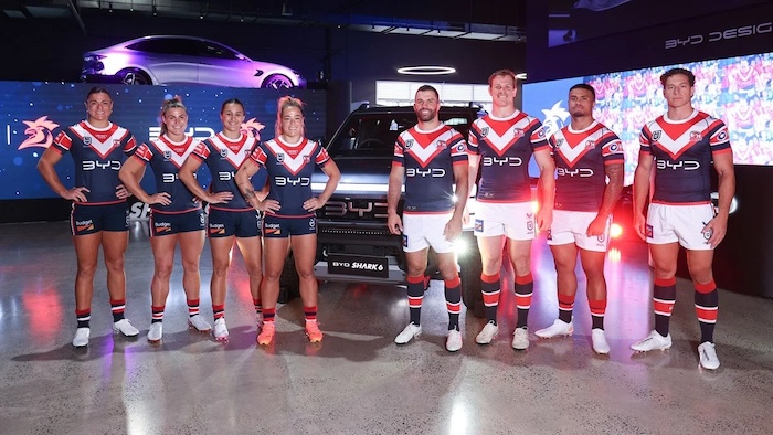 1731652669701068.jpeg 比亚迪.jpeg