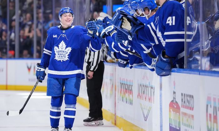 1732462104181561.jpeg 枫叶.jpeg