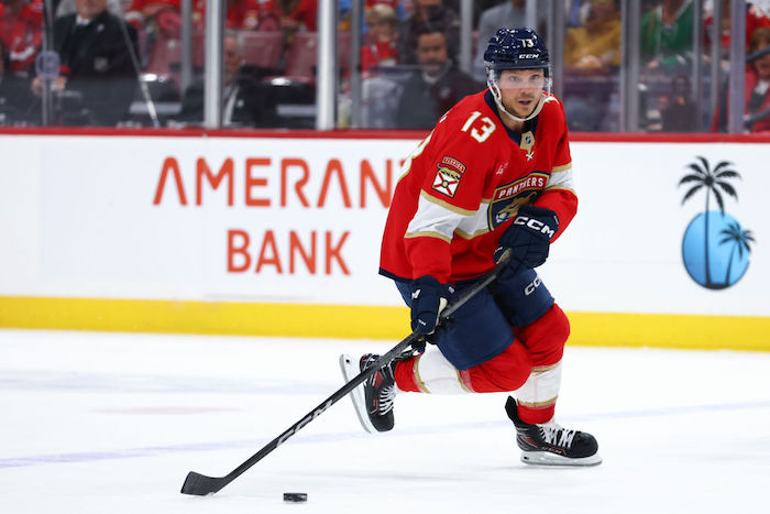 1733476195302117.jpeg NHL.jpeg