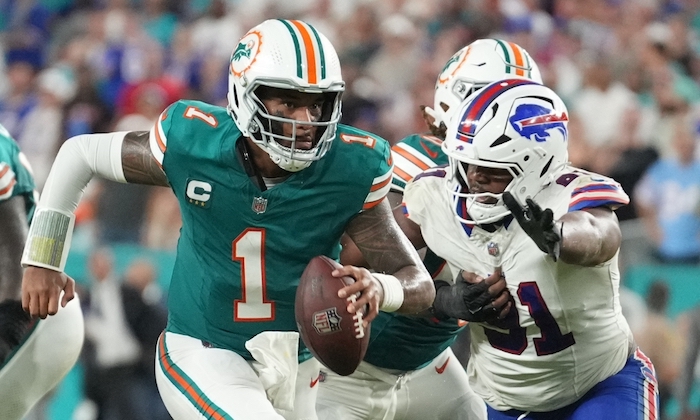 1734202378624110.jpeg 海豚.jpeg