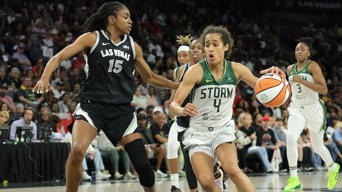 1734515699608619.jpeg WNBA.jpeg