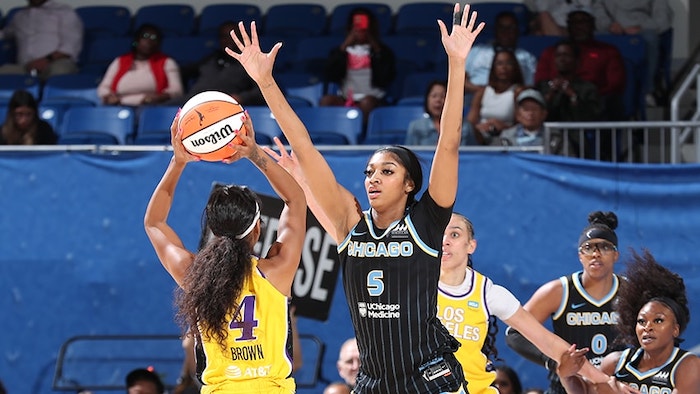 1734875164573557.jpeg WNBA.jpeg