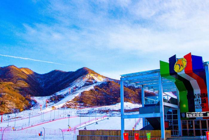 1735092966509071.jpeg 经营主体.jpeg