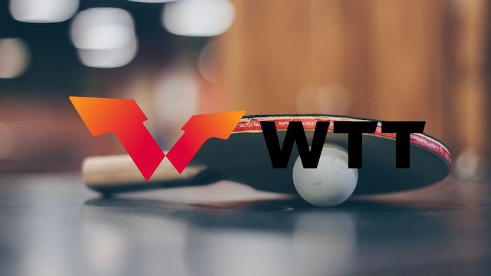 1735615547948392.jpeg WTT.jpeg