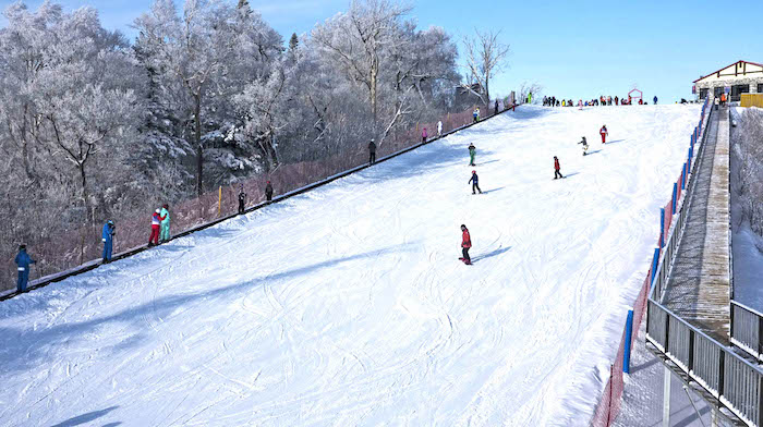 1737431307684154.jpeg 东北.jpeg