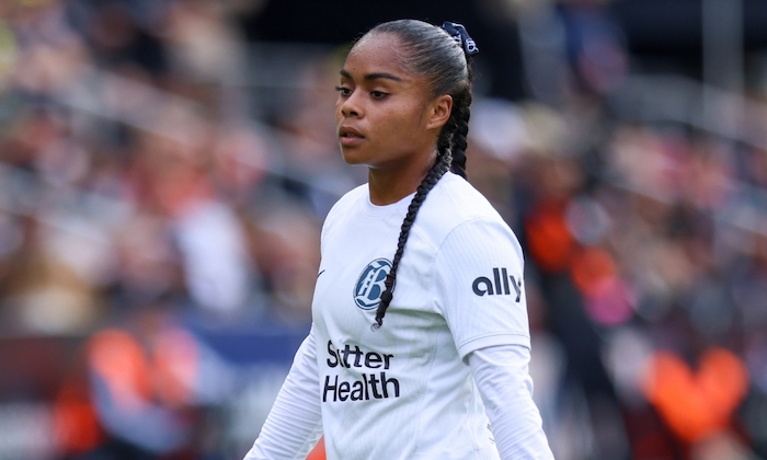 1737453495164062.jpeg Bay Collective.jpeg