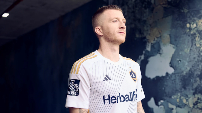 1739872674110371.jpeg 洛杉矶银河.jpeg