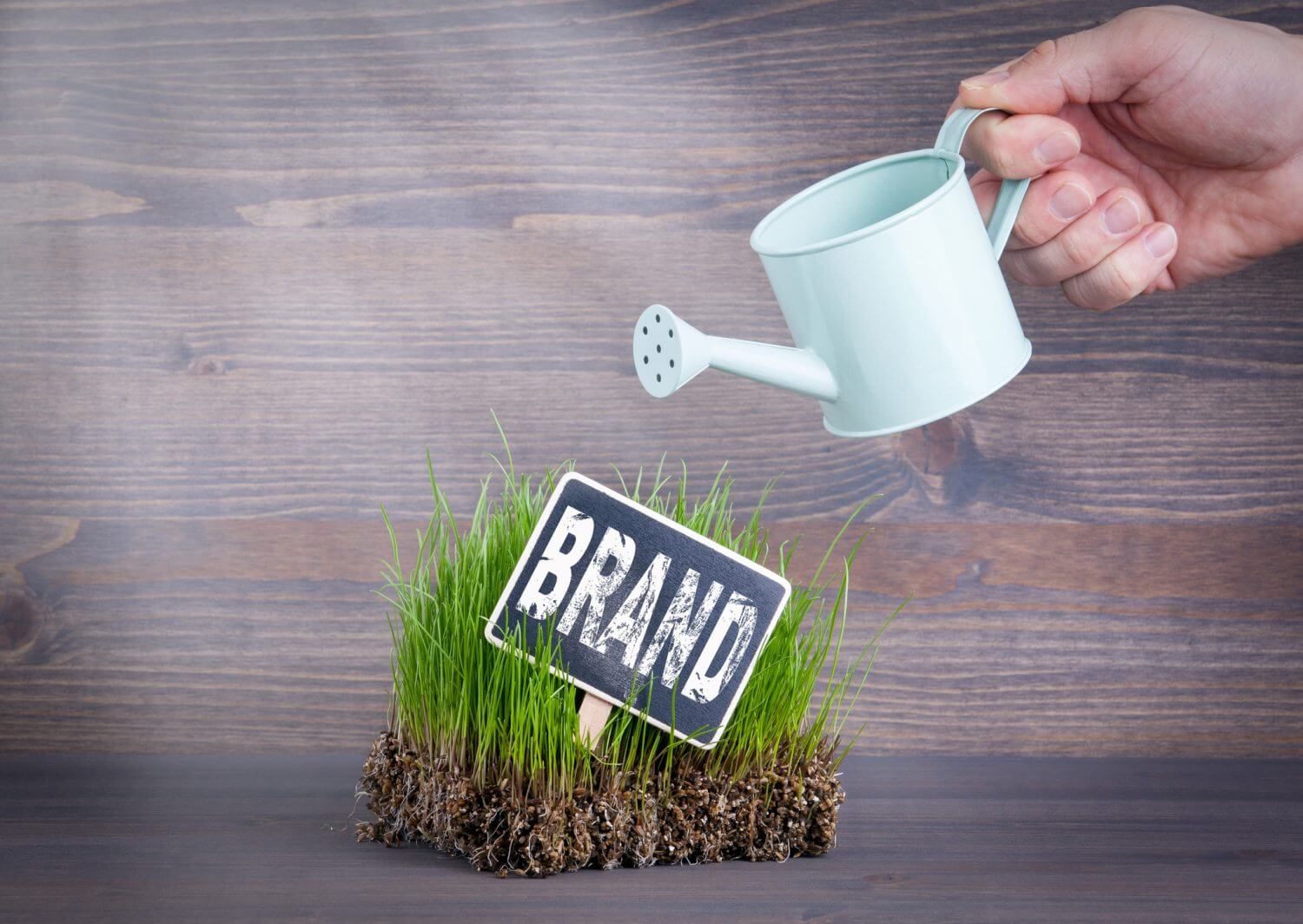 1741059160373806.jpeg 1741059160373806.jpeg