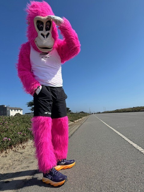 1746906616330905.jpeg 斯凯奇.jpeg