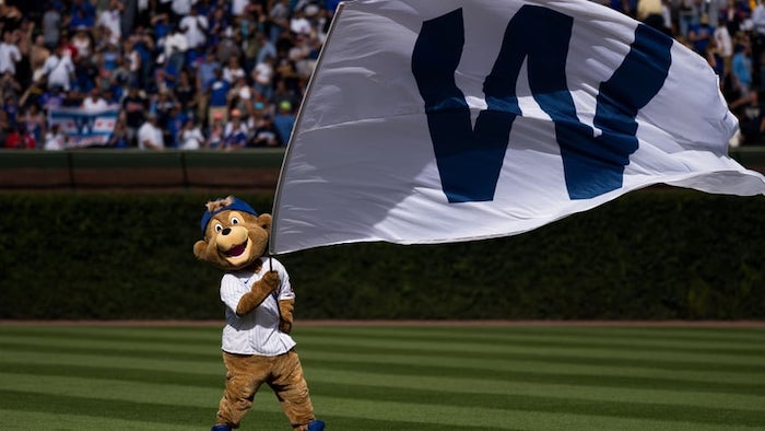 1748903501300589.jpeg 芝加哥小熊.jpeg