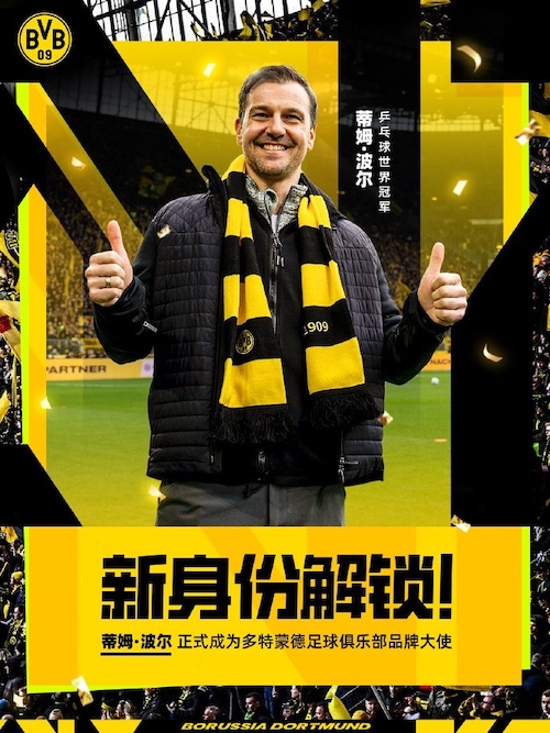 1754860770550595.jpeg 波尔.jpeg