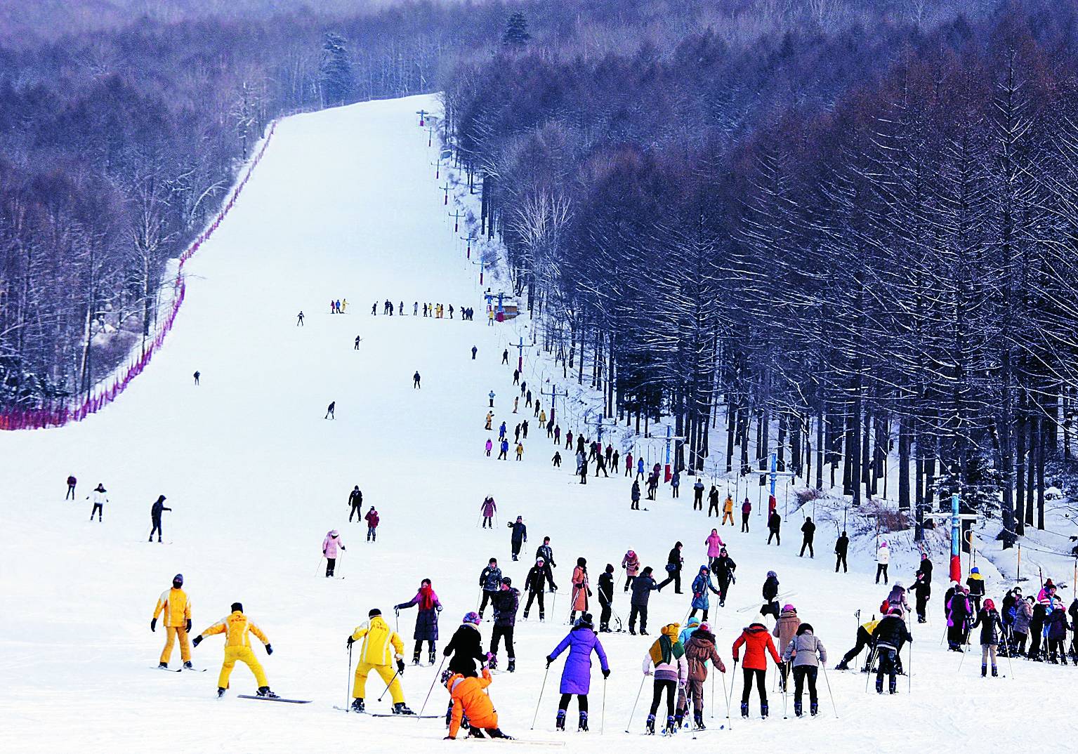 1763001602683442.jpeg 1763001602683442.jpeg